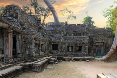 Angkor, Kamboçya. Tapınaklar, dini binalar, taş oymalar, doğanın taşa karşı zaferi..