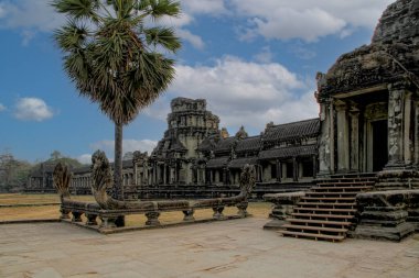 Angkor, Kamboçya. Tapınaklar, dini binalar, taş oymalar, doğanın taşa karşı zaferi..