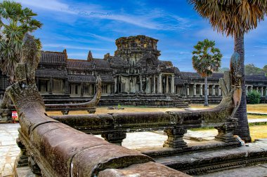 Angkor, Kamboçya. Tapınaklar, dini binalar, taş oymalar, doğanın taşa karşı zaferi..