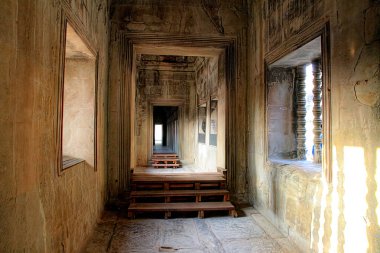 Angkor, Kamboçya. Tapınaklar, dini binalar, taş oymalar, doğanın taşa karşı zaferi..