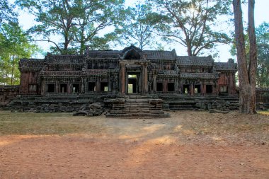 Angkor, Kamboçya. Tapınaklar, dini binalar, taş oymalar, doğanın taşa karşı zaferi..