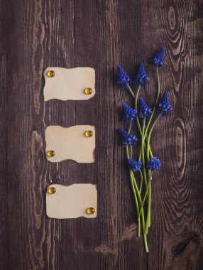 Boş etiket metin için arka plan ile taze mavi renkler