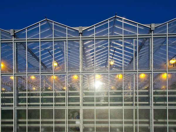 Outside of large modern industrial glass and metal greenhouse reflecting sun. Agricultural level tomato growing under artificial light.