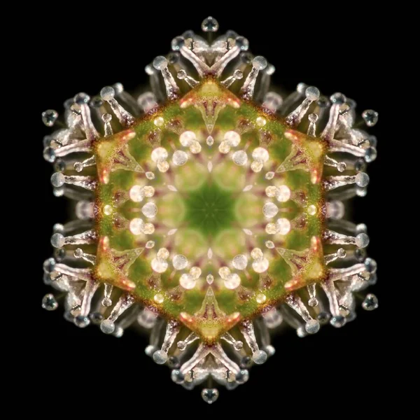 Mirrored hexagonal snowflake like structure from cannabis trichomes macro photo.
