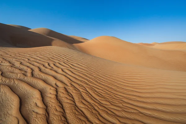 Sabbie nel deserto di Liwa — Foto Stock