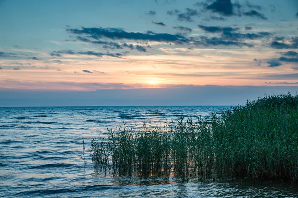 Naturaleza junto al lago Peipus —  Fotos de Stock