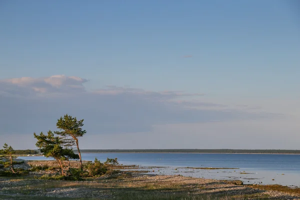 東部エストニアでペイプシ湖 — ストック写真