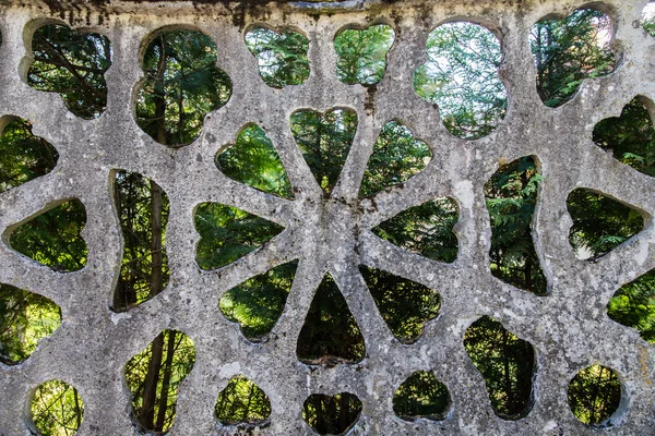 Árvores verdes atrás da cerca — Fotografia de Stock