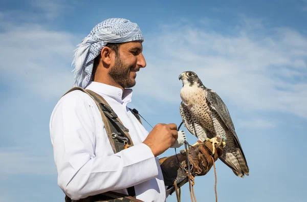 Falconer met zijn Valk in de buurt van Dubai — Stockfoto