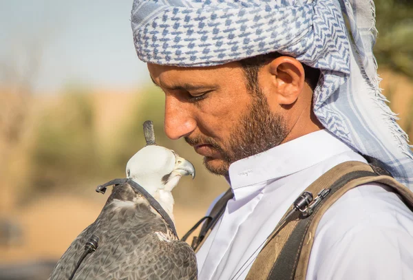 Falconiere con il suo falco vicino a Dubai — Foto Stock