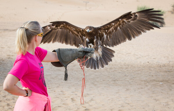  eagle  on a hand of a lady
