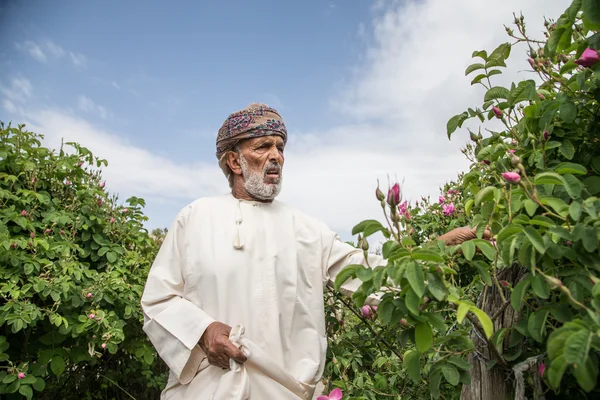 Omani homem escolhendo uma rosa — Fotografia de Stock