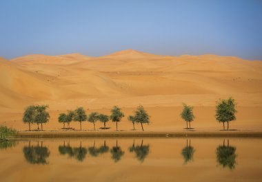 Kırmızı dunes bir çölde