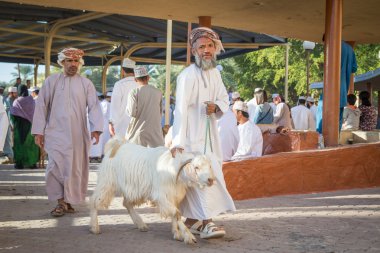 Onun keçi ile Umman adam