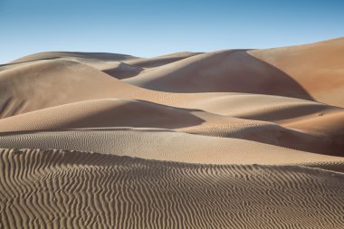 Liwa, kum tepeleri