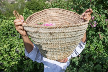 adam sepet gül dolu gösterilen