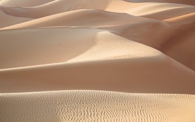 Liwa, kum tepeleri