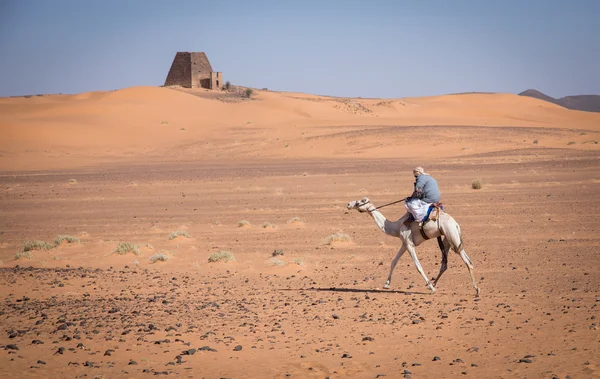 Ο άνθρωπος σε μια καμήλα στην έρημο — Φωτογραφία Αρχείου