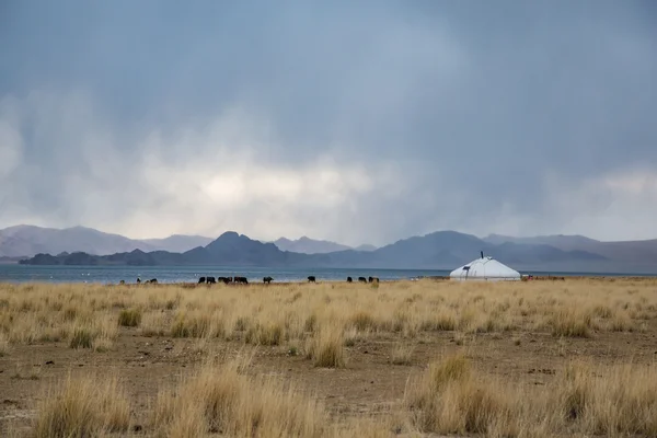 Paysage de Mongolie occidentale — Photo