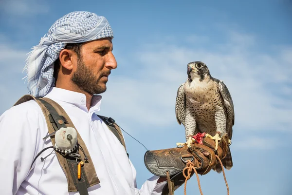 Falconiere con il suo falco vicino a Dubai — Foto Stock