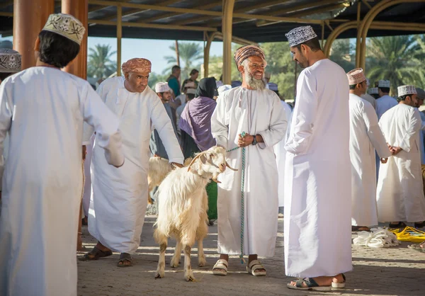 Homem Omani com sua cabra — Fotografia de Stock