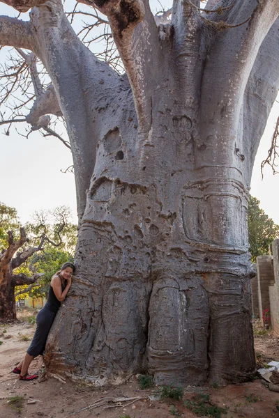 Kobieta w pobliżu dużych baobab drzewa — Zdjęcie stockowe