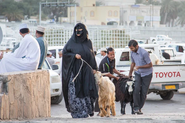 Оманську дами з козячим — стокове фото