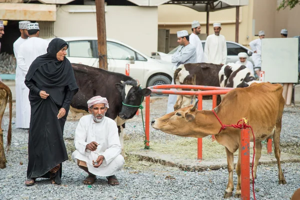 Omani coppia di vendere le loro mucche — Foto Stock