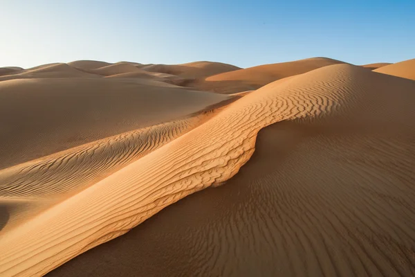 Песни в пустыне Лива — стоковое фото