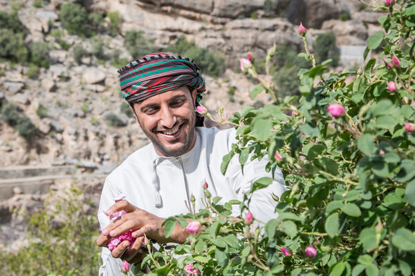 Omani man picking a rose