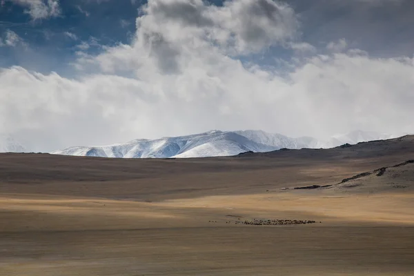 Landskapet i västra Mongoliet — Stockfoto