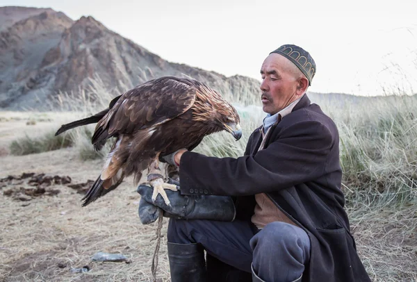 Cazador de águila alimentando a su águila —  Fotos de Stock