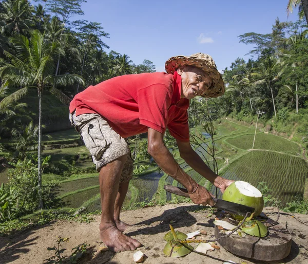 Indonesiano uomo sta tagliando un cocco — Foto Stock