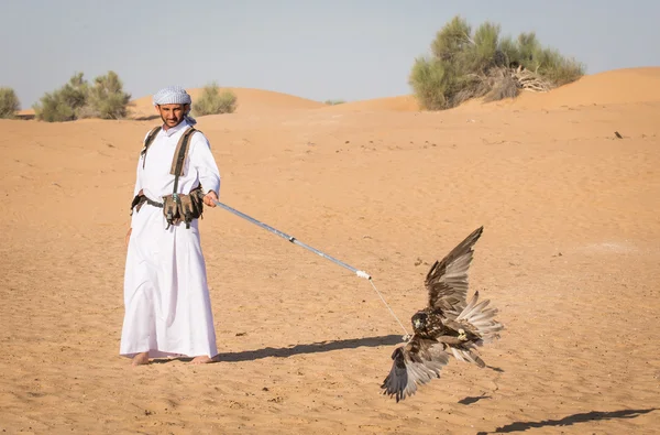 Człowiek jest szkolenie jego falcon — Zdjęcie stockowe
