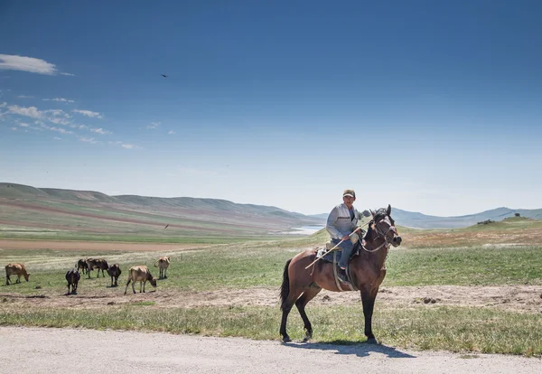 Γεωργιανό ο άνθρωπος με το άλογό του στα βουνά του Καυκάσου — Φωτογραφία Αρχείου