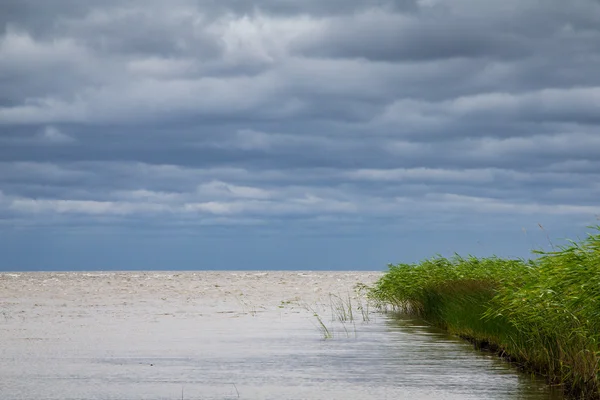 Costa do Lago Peipus — Fotografia de Stock