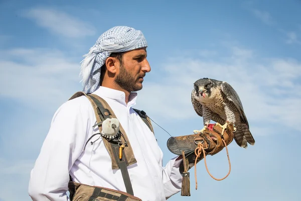 Falconiere con il suo falco vicino a Dubai — Foto Stock