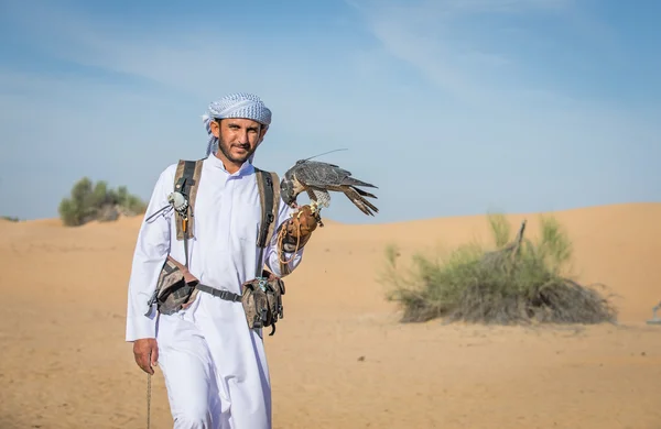 Uomo formazione il suo falco — Foto Stock