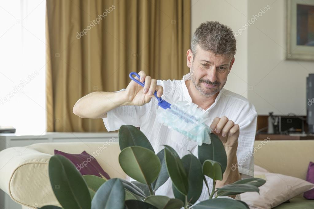 middle aged man dusting a plant