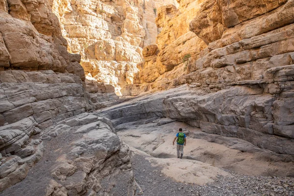 阿拉伯联合酋长国Ras Khaimah 2020年11月7日 徒步旅行者在Hajjar山区行走 — 图库照片