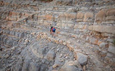 BAE 'deki dağlarda odun taşıyan eşek.