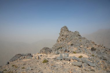BAE 'deki dağlarda odun taşıyan eşek.