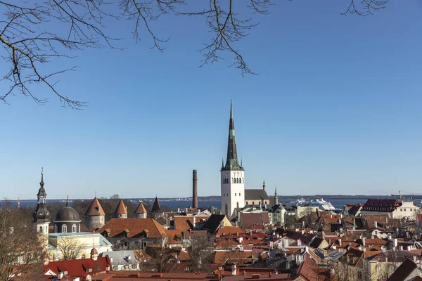Вид Старый Город Таллинн Красных Крышах — стоковое фото
