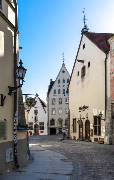 Таллин Эстония Марта 2021 Года Красивые Средневековые Здания Старого Города — стоковое фото