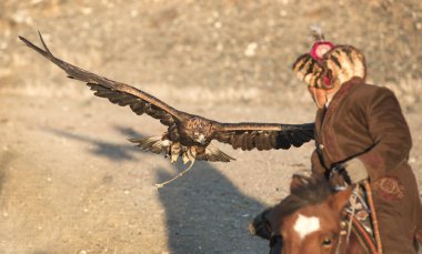 Bayan Ulgii, Moğolistan, 2 Ekim 2015: Atlı adam ve gün batımında Altai Altın Kartal