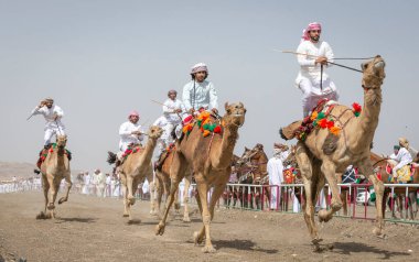 Al Safen, Umman, 28 Nisan 2018: Umman kırsalında deveye binen erkekler