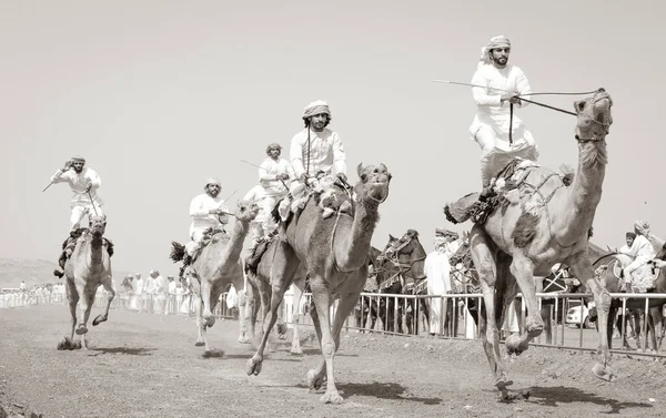 Safen Omã Abril 2018 Homens Montando Camelos Por Diversão Zona — Fotografia de Stock