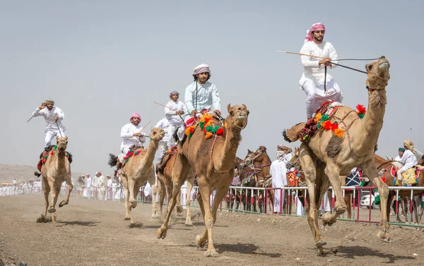 Safen Oman 28Th April 2018 Men Riding Camels Fun Rural — Stockfoto