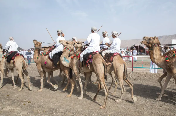 Khadal Omã Abril 2018 Homens Omani Roupas Tradicionais Montando Camelos — Fotografia de Stock