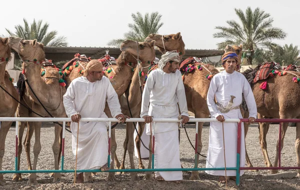 Khadal Oman Квітня 2018 Омані Чоловіки Традиційному Одязі Верблюдами — стокове фото